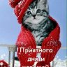 Татьяна59