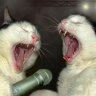 Певец