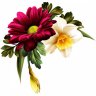 art-flower