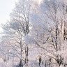 гайка