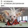 Lenok79