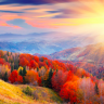 vinettafomina_fx42